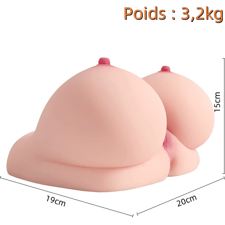 Poids de 3,2 kg offrant une stabilité optimale pour une utilisation sans glissement