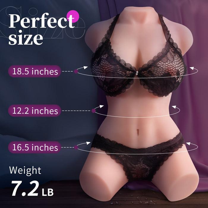 torso buste-femme-dimension detaille