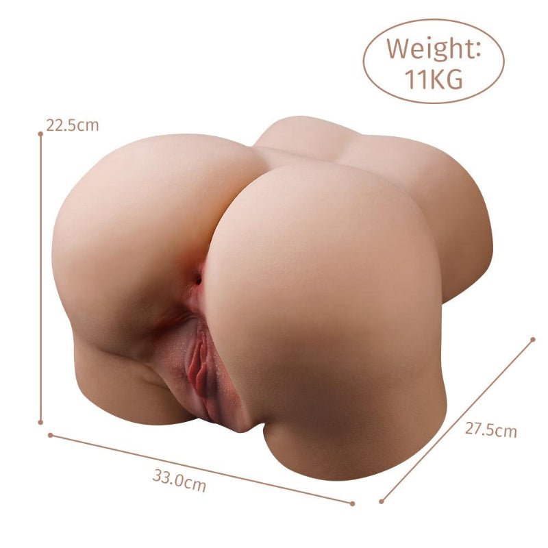 dimensions et caractéristiques du gros fessier Sophia, avec un design ergonomique et un confort optimal