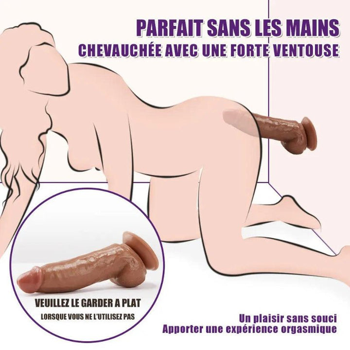 Ventouse solide et puissante pour une fixation stable sur toutes les surfaces planes